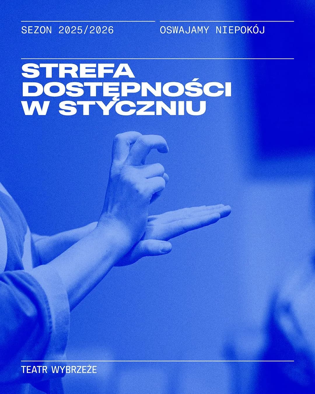 Strefa Dostępności w styczniu