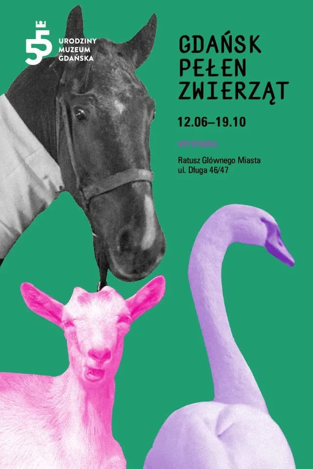 640x960_px_post_sponsorowany_GDANSK_PELEN_ZWIERZAT_640x960_px_post_sponsorowany_GDANSK_PELEN_ZWIERZAT_c0f47bcf28