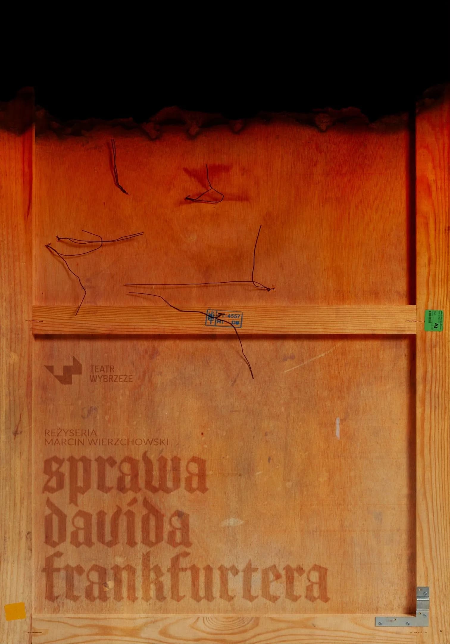plakat SDF autor Tomasz Madej (Niesta..._plakat_SDF_autor_Tomasz_Madej_Niestandardowe_13798033f3